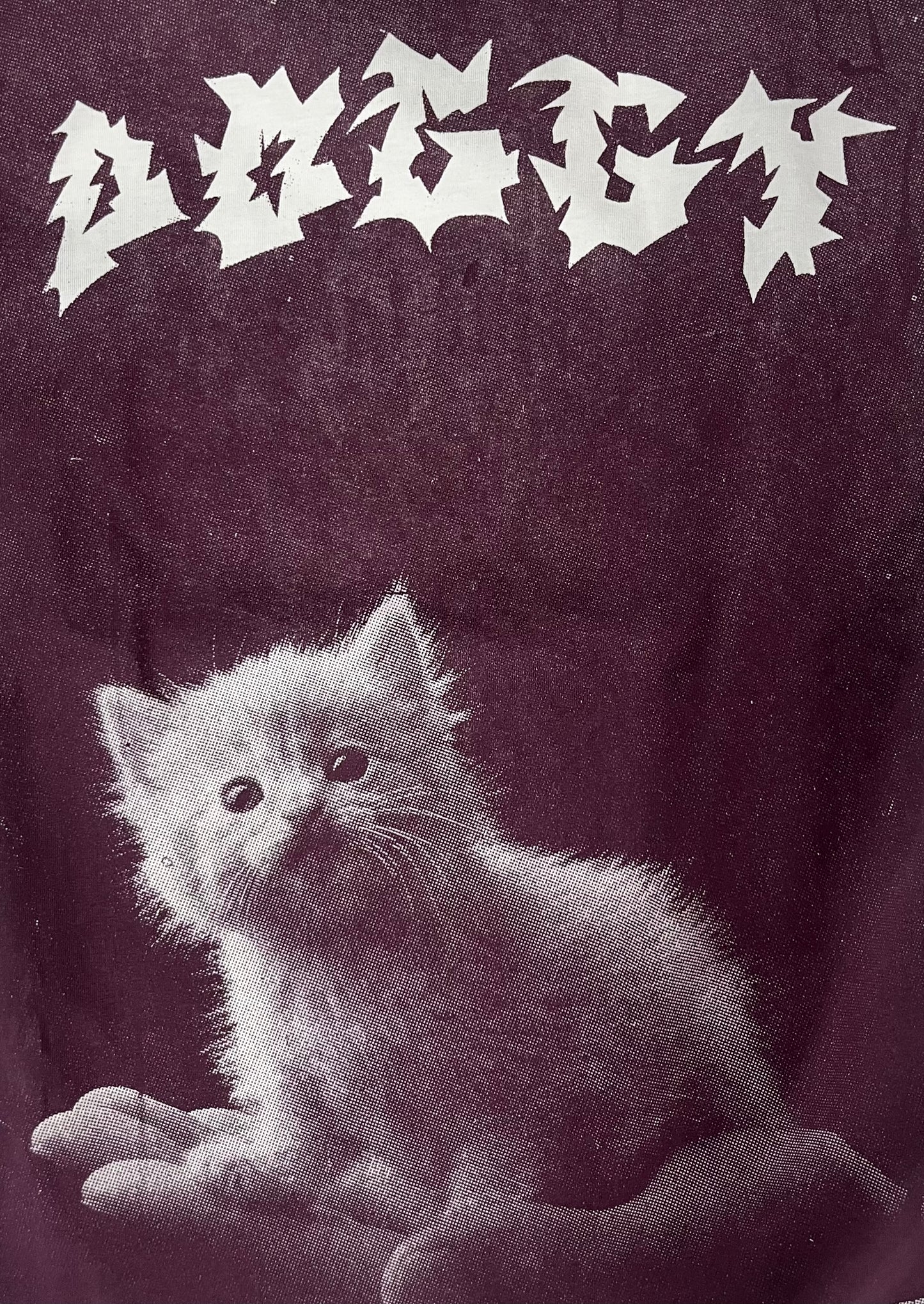 Kitten t-shirt